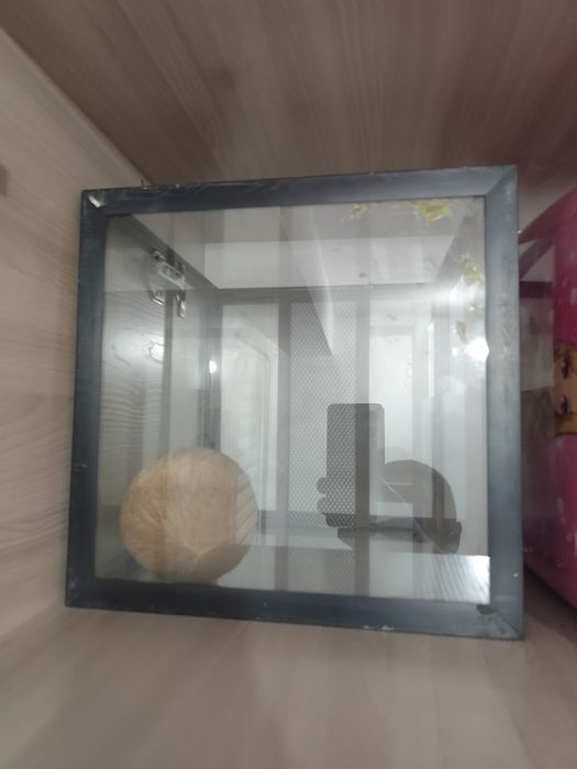 Продам террариум  для яширицы сухопутных