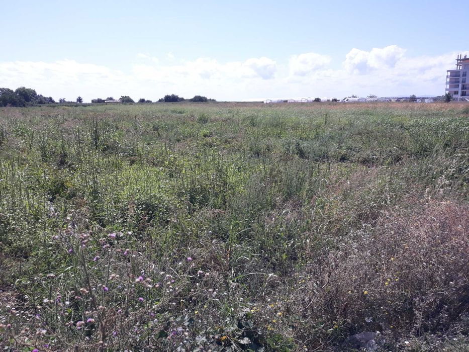 Продава се Парцел в Ахелой - 5000 кв.м за 45 €/кв.м - Снимка #5