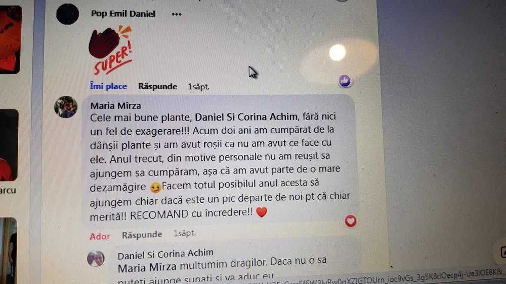 Rasaduri si plante aromatice - de calitate !