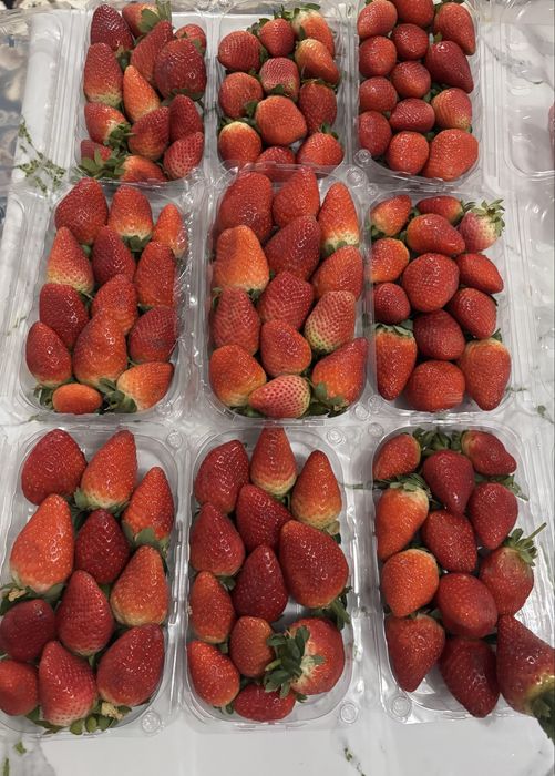 Клубника в шоколаде Астана