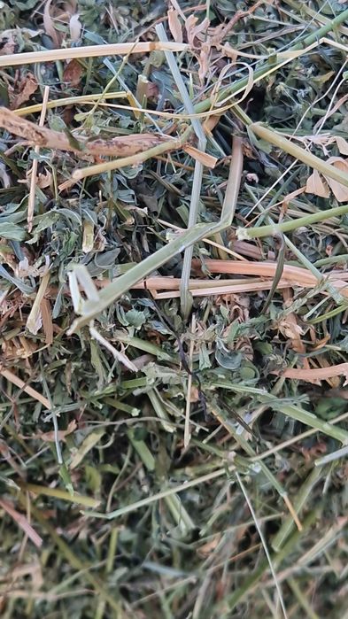 Baloti de fan si otava