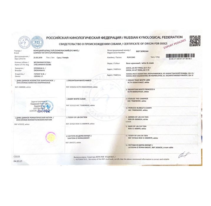 Продам красивых щенят