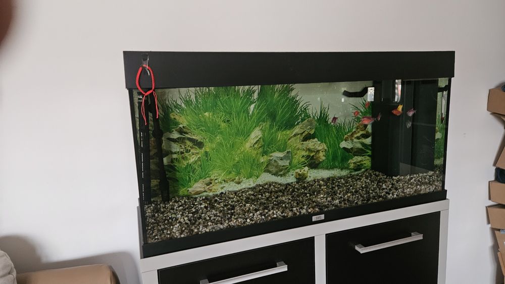 Vind acvariu Juwel rio 180