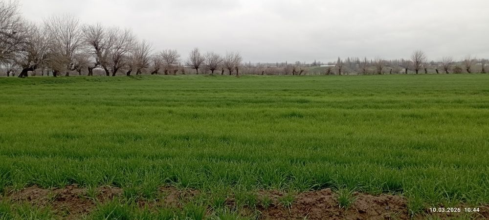 Срочно! 6 сутих 3 хонали уй участка нархида, Янги Тошкент чегарасида