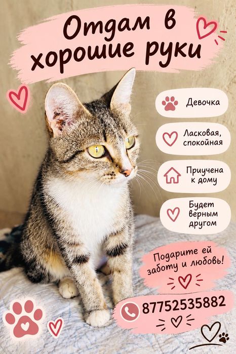 Отдам в хорошие руки