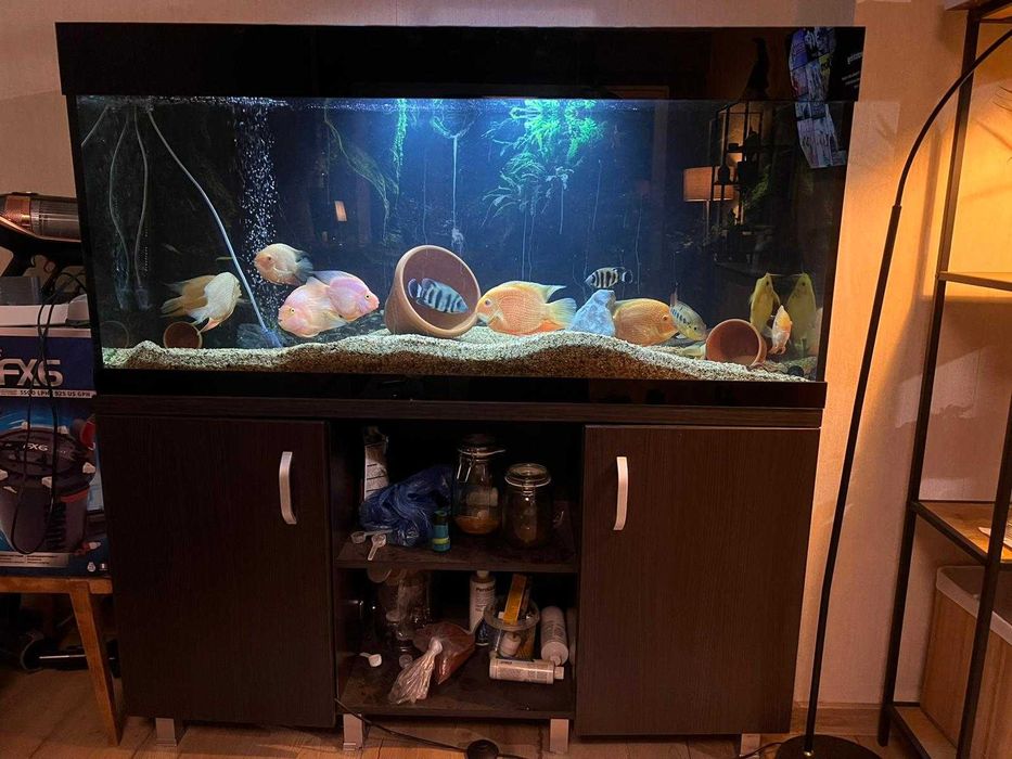 Дизайнерски кантиран аквариум с шкаф