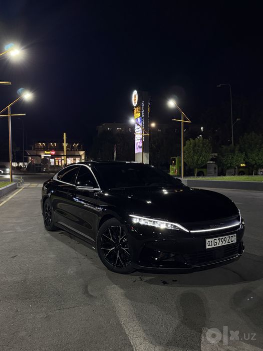 BYD  han 610km 3.9 sec