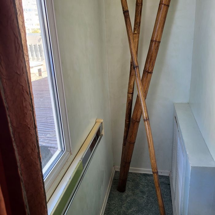 Бамбук натуральный декоративный.