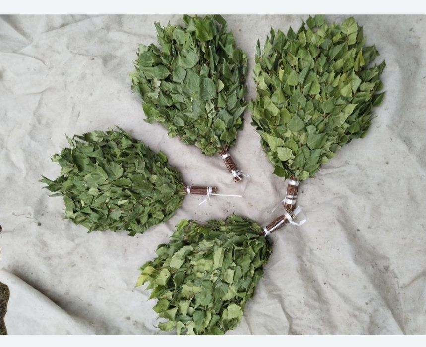 Продам веники березовые