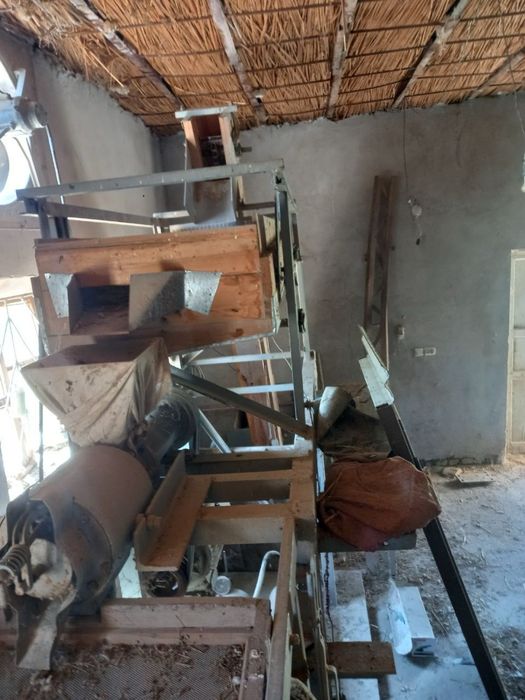 Sholi xoroz sotiladi