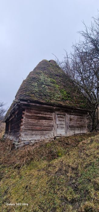 Vând șură veche din  lemn de brad