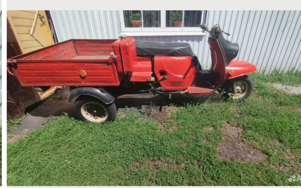 Муравей янги виписка