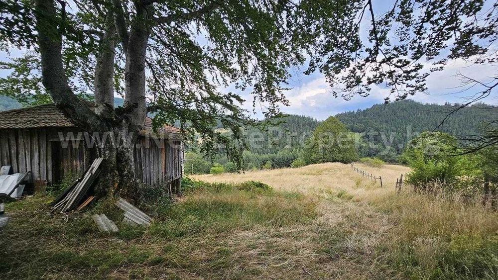 Къща в гората в с. Стърница, обл. Смолян
