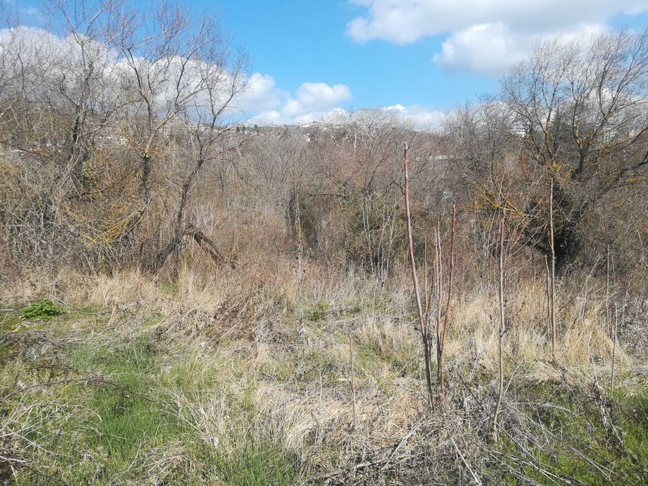 Продава се Парцел в Добрич, Център - 500 кв.м за 17 €/кв.м - Снимка #1