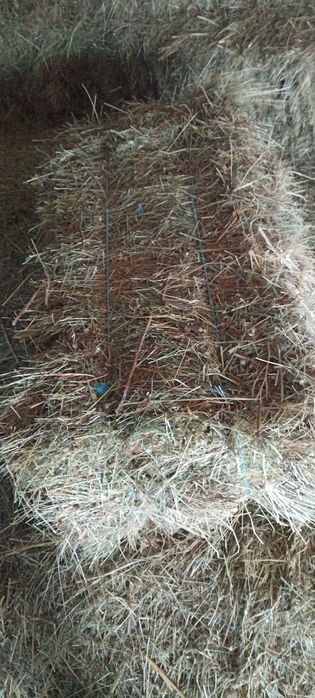 Baloti fân de bun calitate