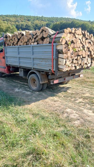 Lemn de foc transport gratuit în jud cluj napoca