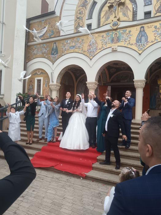 Porumbei albi pentru nunti Timișoara