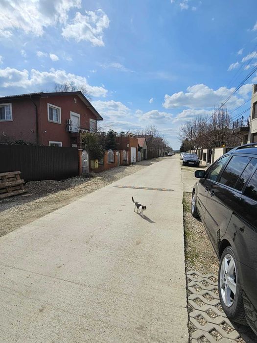 Vand teren 881 mp pe Strada Occidentului, Berceni