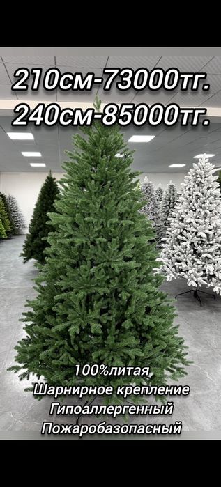 Ёлки, шыршалар. Успейте купить со скидкой