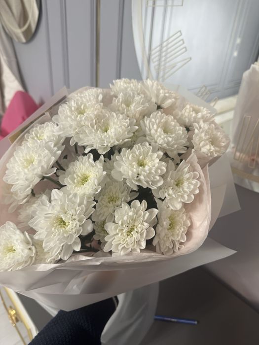срочно продам цветы дешево
