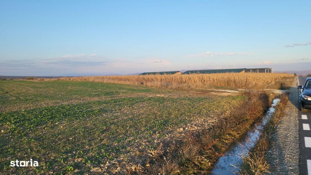 Teren de Vanzare Crizbav Brasov, curent , asfalt, apa ! Negociabil