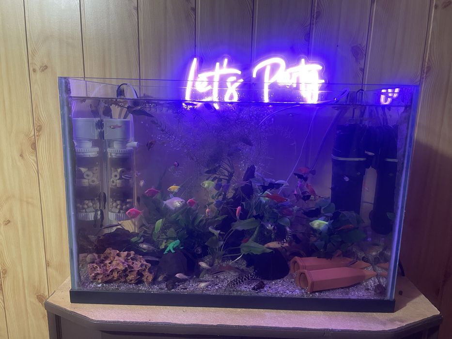 Acvariu 65 Litri cu pesti si echipat