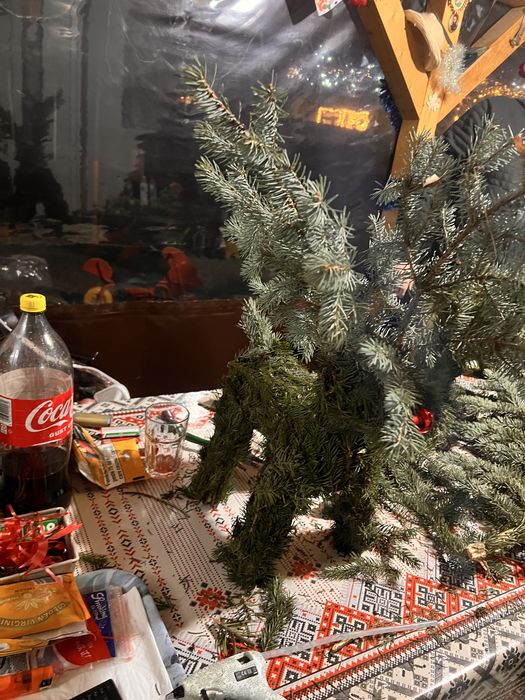 Renii facuti din brad ,, mari si mici