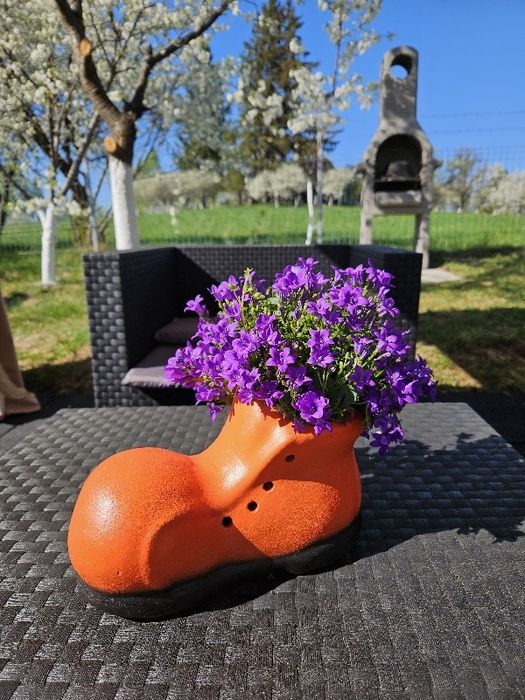 Casuta / Cabana Bran -Sohodol cu Ciubăr de inchiriat