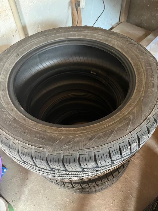 Шины зимние Nokian
