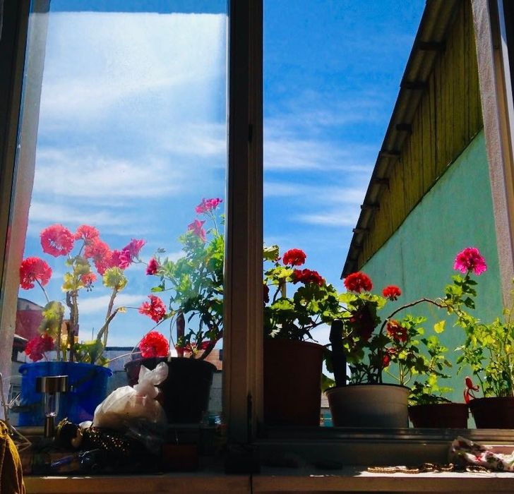 Apartament luminos două camere și pod propriu