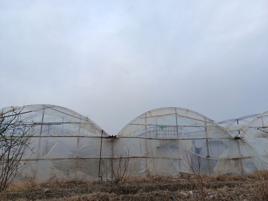 Parnik (ISSIQXONA) SOTILADI... (22,5×28)m