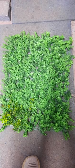 Зелёный забор для дома