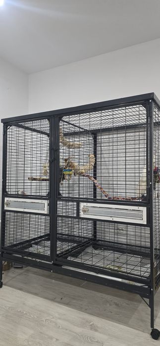 Volieră spațioasă modulară, ideală pentru papagali mari, cu separator