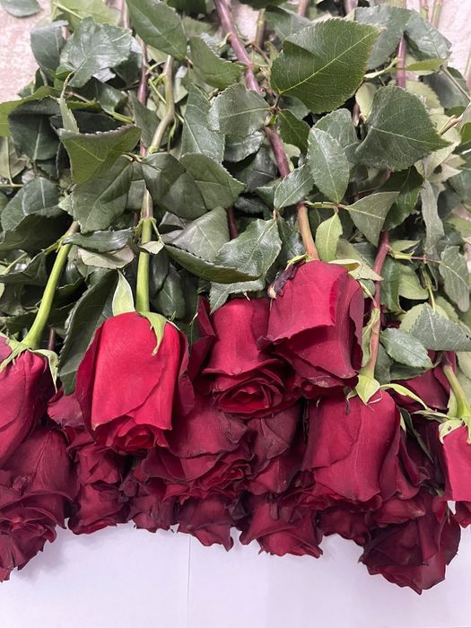 Розы красные 50см