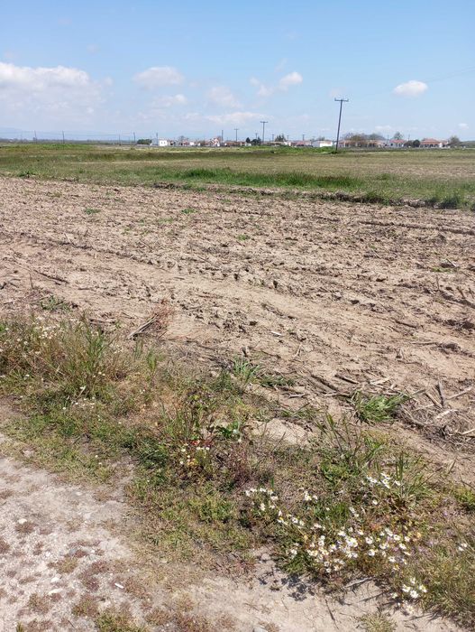 Продава се Земеделски имот в Бургас, Изгрев -  кв.м за 4800 €/дка - Снимка #2