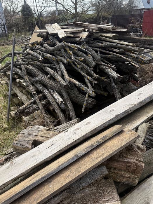 Vand lemne foc, stejar si brad