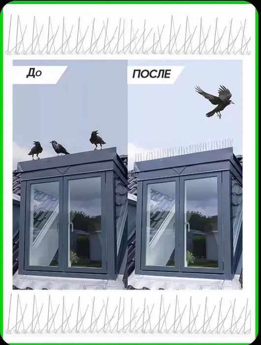 Противоприсадные Шипы от птиц