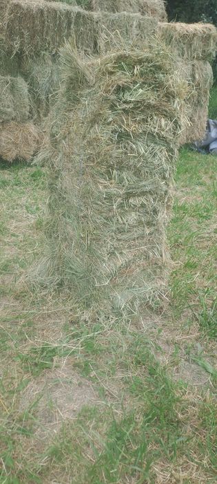 Vând baloti de fân și lucernă dreptunghiulari