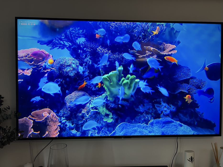 Smart TV SONY BRAVIA X80G diagonala 189.3cm