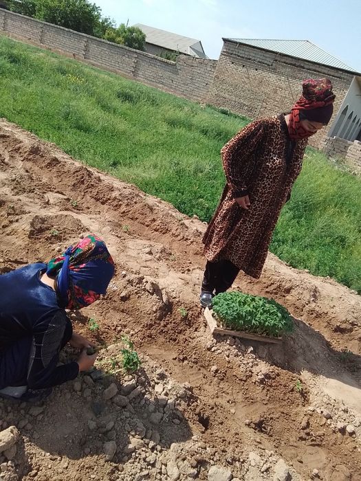 Зудлик билан ховли сотилади 5 хонали уйи мавжуд 20 сотих  ер майдон