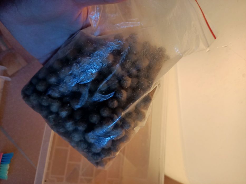 Черепаха красноухая с террариумом