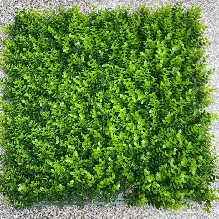 Искусственные растения на стену (самшит)