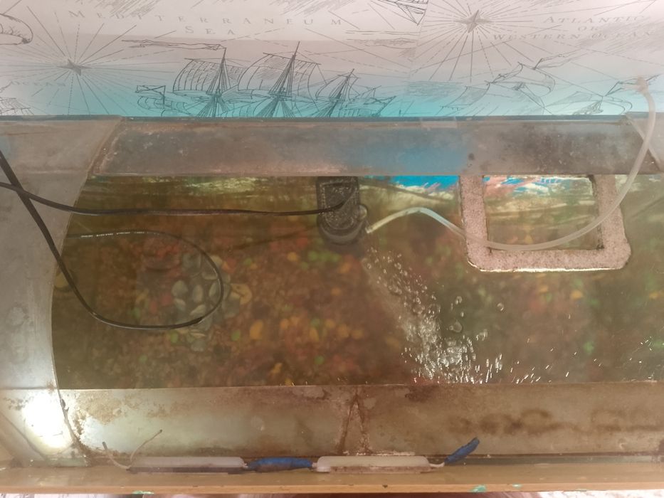 Аквариум  вместе со всем комплектующим