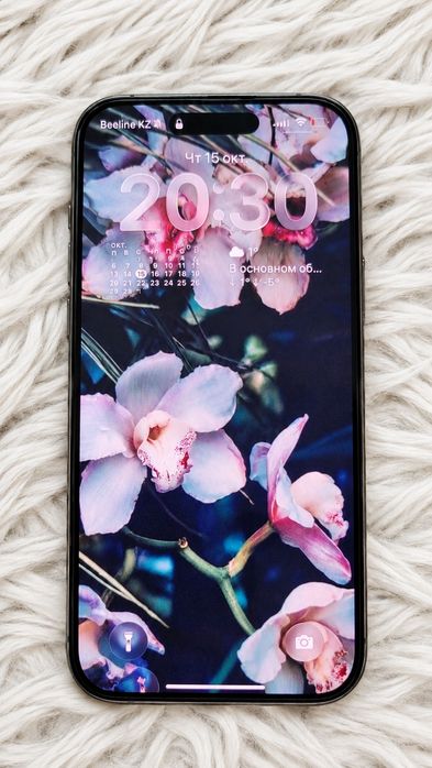 iPhone 16 Pro Max 256 ГБ · SIM + eSIM · идеальное состояние