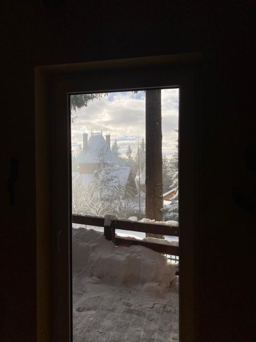 Cabana de inchiriat Baisoara Buscat langa partie