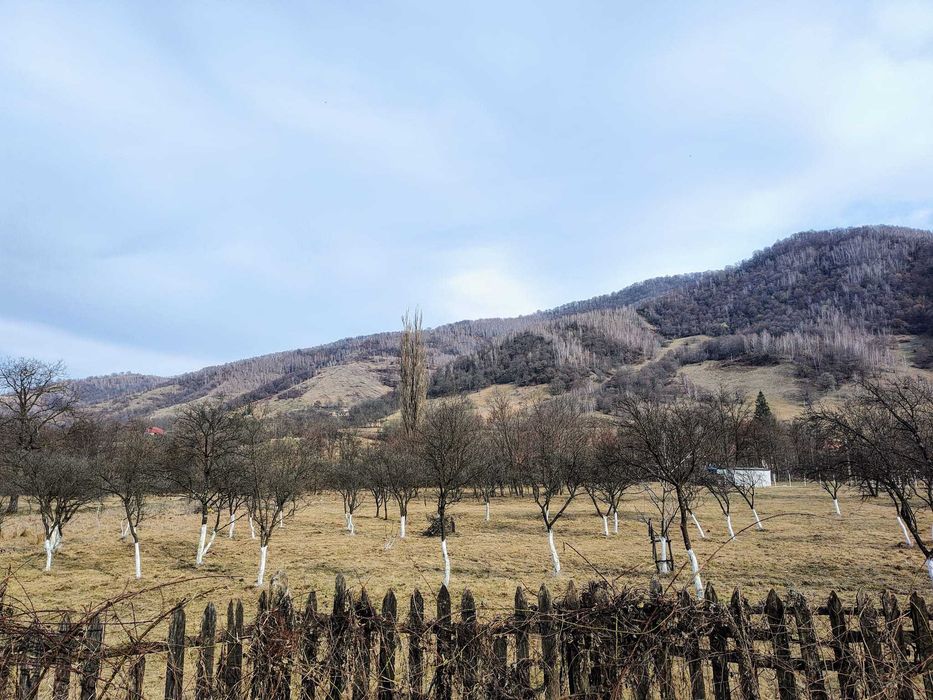 Parcela intravilan de vânzare