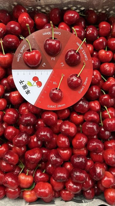 20% доли в интенсивном саду