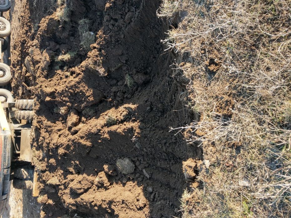 Хумус - плодородна почва