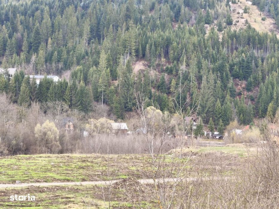 Teren intravilan, 22600mp, zona Manastirea Sucevita