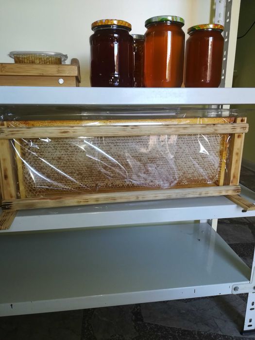 Био пчелен мед Реколта 2025